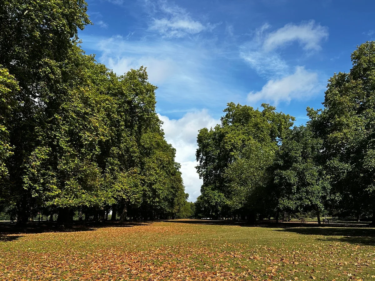 Fotografia di Domenica a Kensington