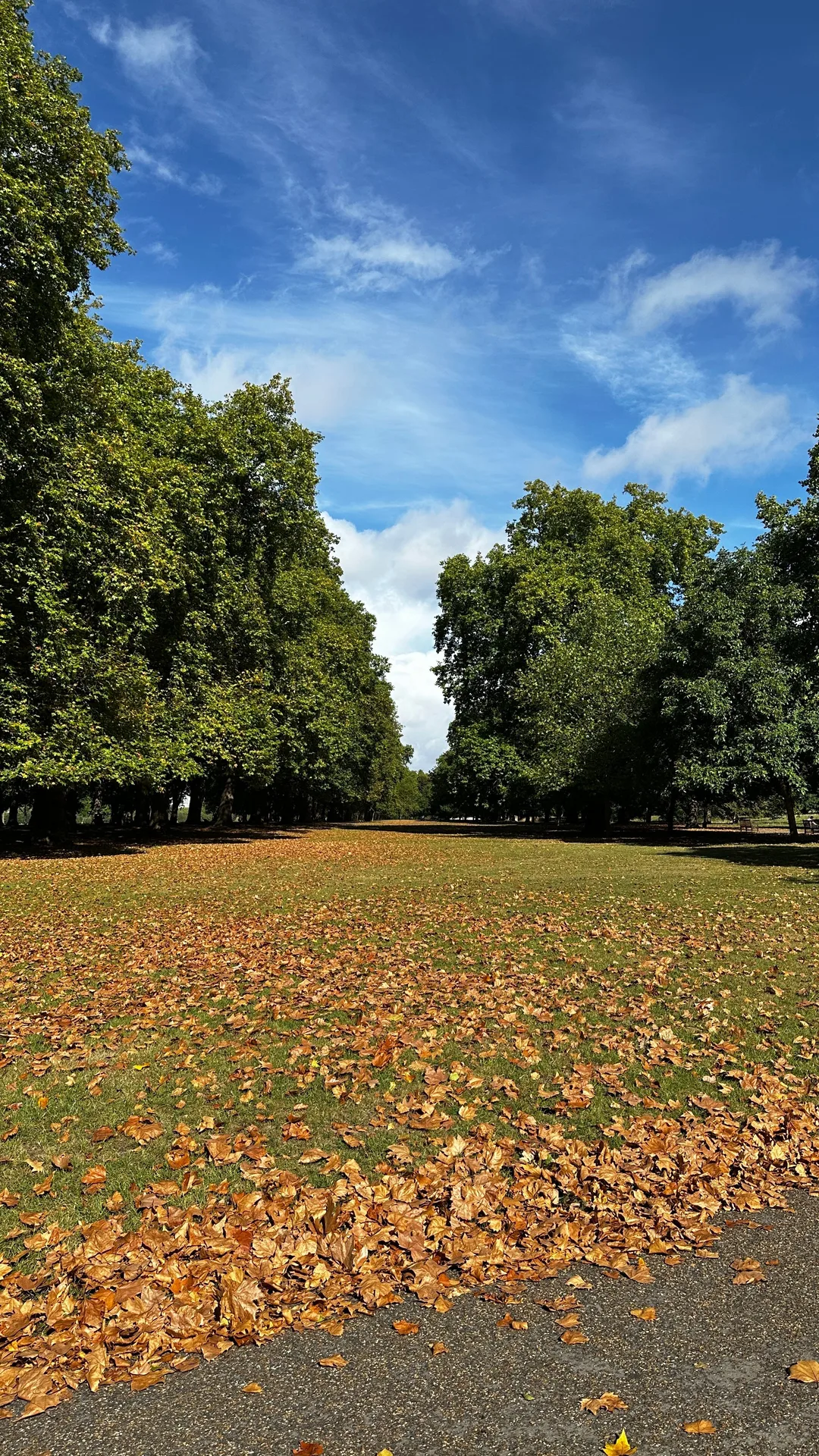 Fotografia di Domenica a Kensington